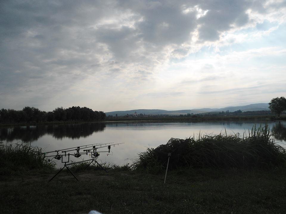 icn carp - 57659713904120478658681429814924n.jpg